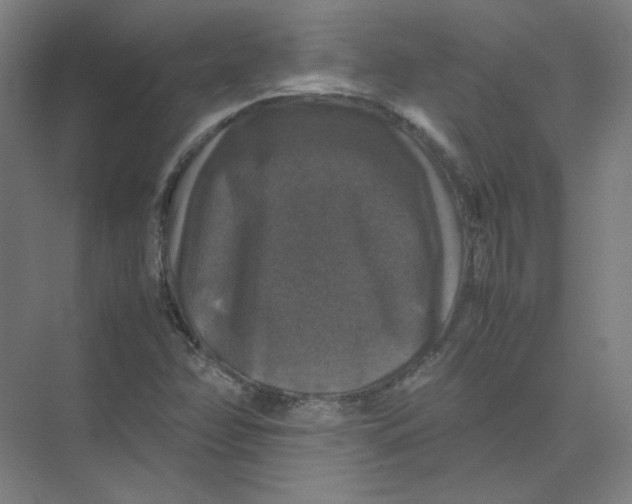 X0000074031358200609181916