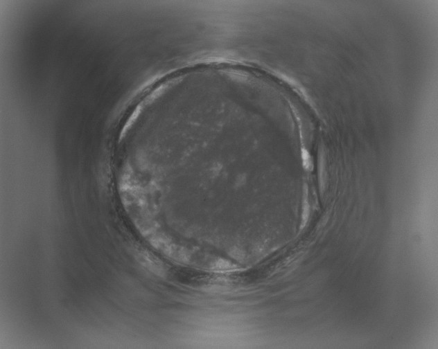 X0000074031359200609181916