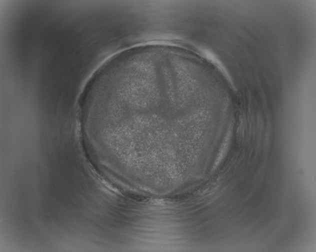 X0000074031360200609181916