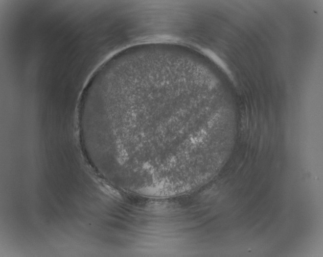 X0000074031364200609181916