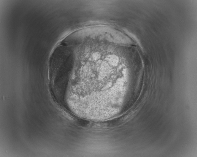 X0000074031365200609181916