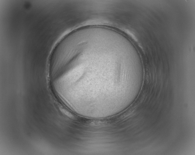 X0000074031366200609181916