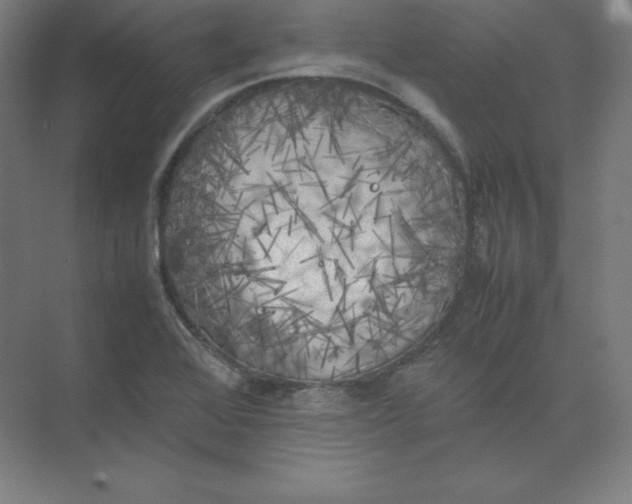 X0000074031368200609181915