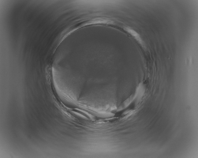 X0000074031369200609181915