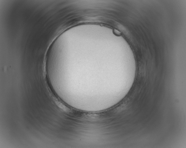 X0000074031370200609181915