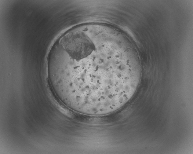 X0000074031371200609181915