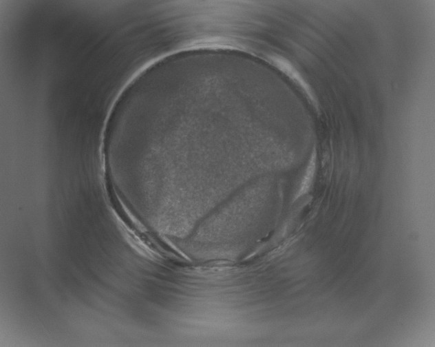 X0000074031372200609181915