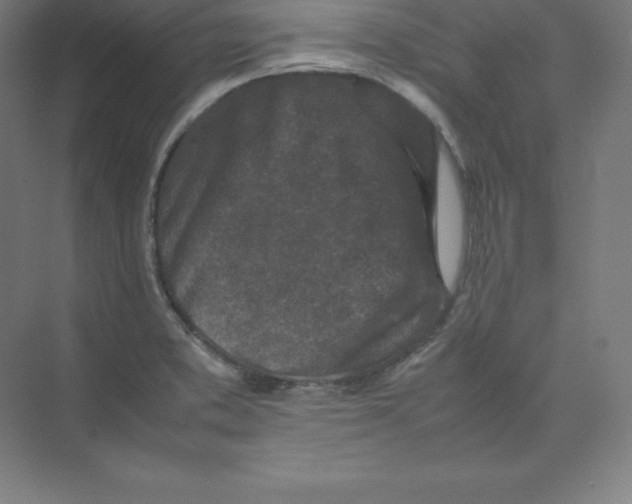 X0000074031373200609181915