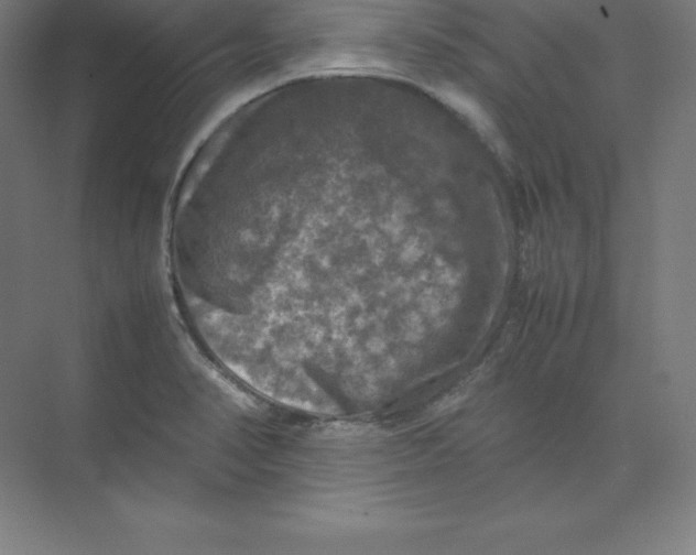 X0000074031374200609181915