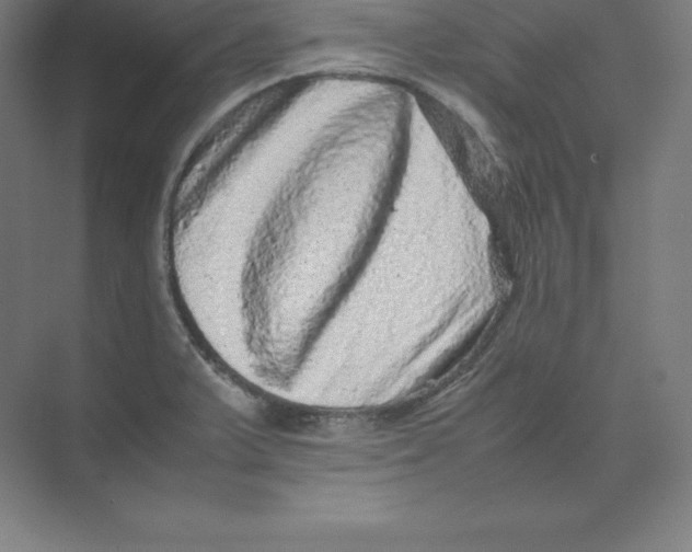 X0000074031375200609181915