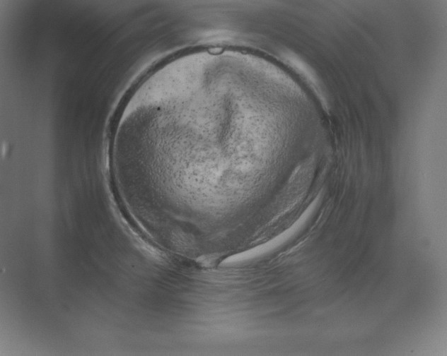 X0000074031376200609181915