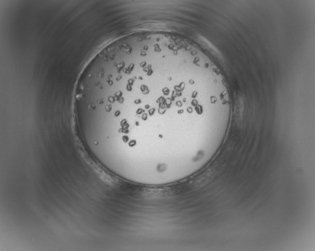 X0000074031378200609181915