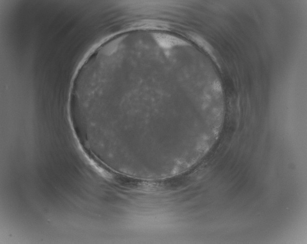 X0000074031379200609181915