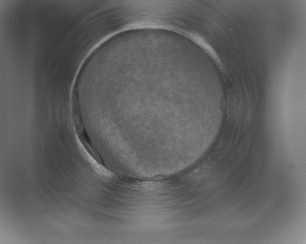 X0000074031380200609181915