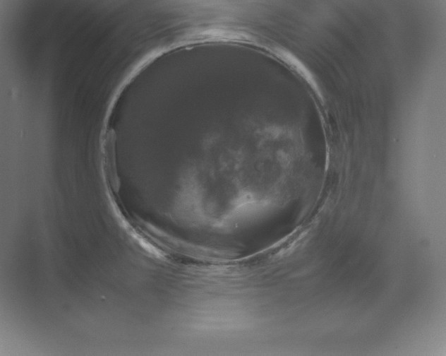 X0000074031381200609181915