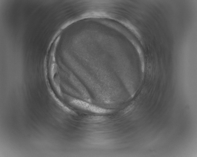 X0000074031382200609181915