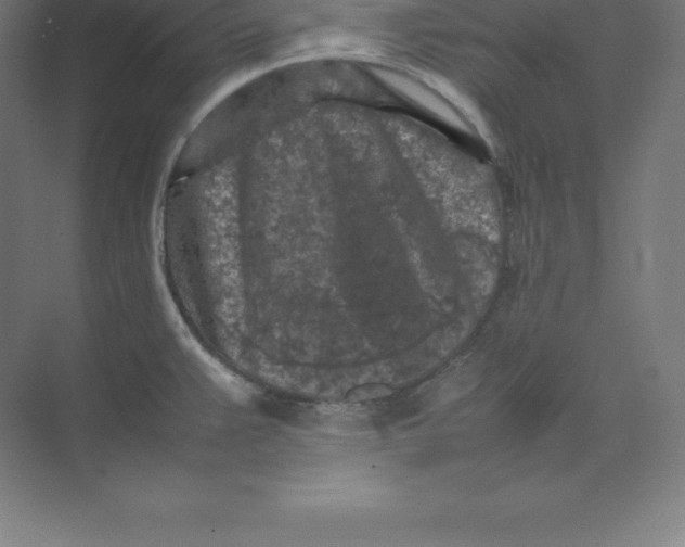 X0000074031383200609181915