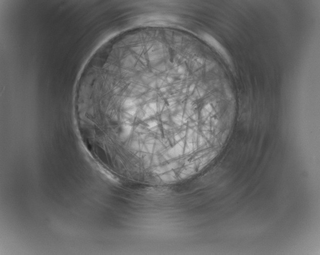 X0000074031384200609181915