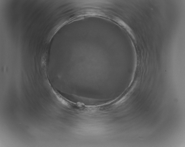 X0000074031385200609181915