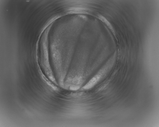 X0000074031386200609181915