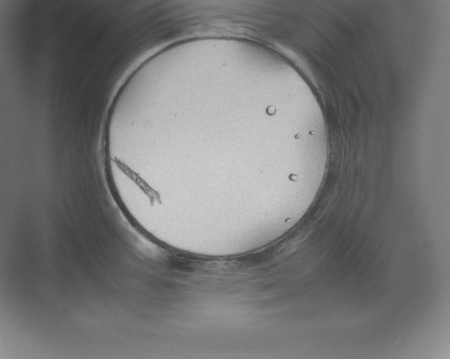 X0000074031387200609181915