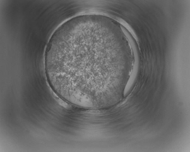 X0000074031388200609181915