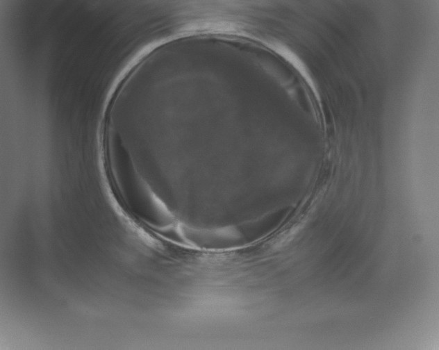 X0000074031389200609181915