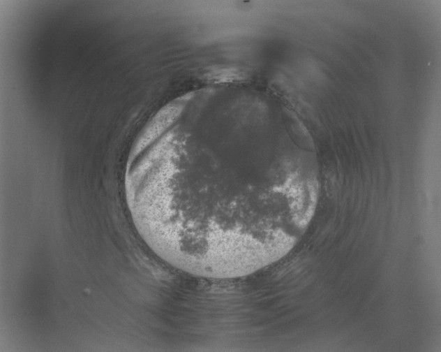 X0000074031393200609181914