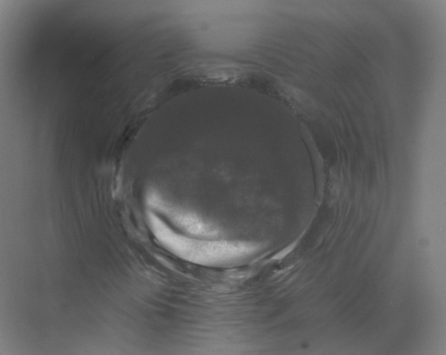 X0000074031394200609181914