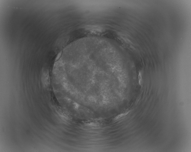 X0000074031395200609181914