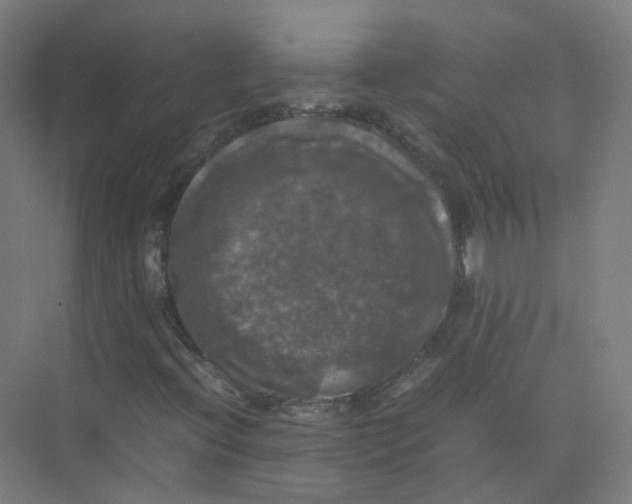 X0000074031396200609181914