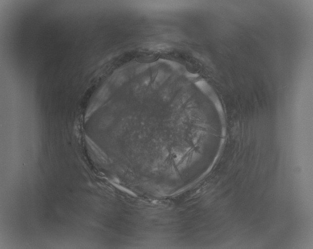 X0000074031397200609181914