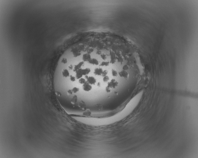 X0000074031398200609181914