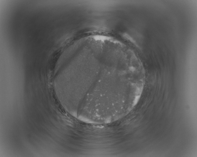 X0000074031399200609181914