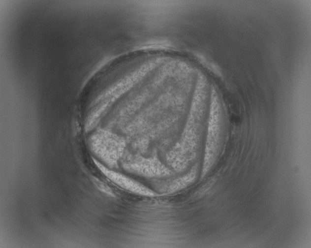 X0000074031400200609181914