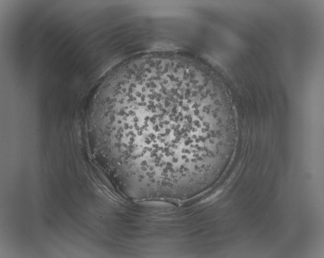 X0000074031401200609181914