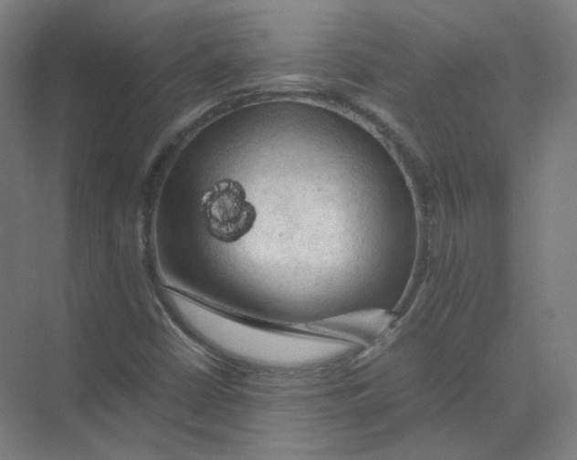 X0000074031402200609181914