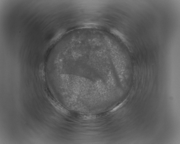 X0000074031403200609181914