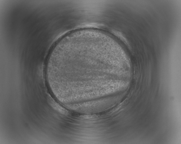 X0000074031404200609181914