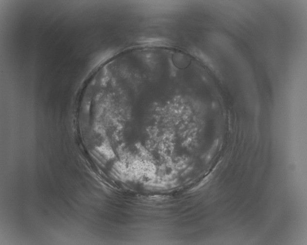 X0000074031405200609181914