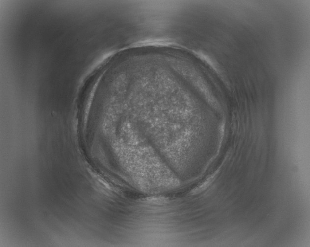 X0000074031406200609181915