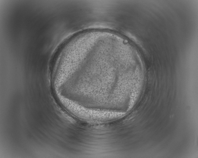 X0000074031408200609181915