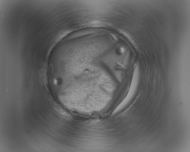 X0000074031410200609181915