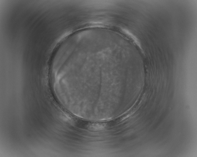 X0000074031411200609181915