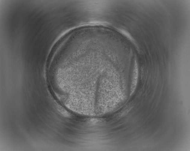 X0000074031412200609181915