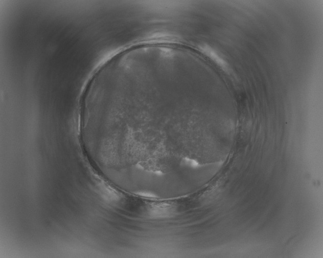 X0000074031413200609181915