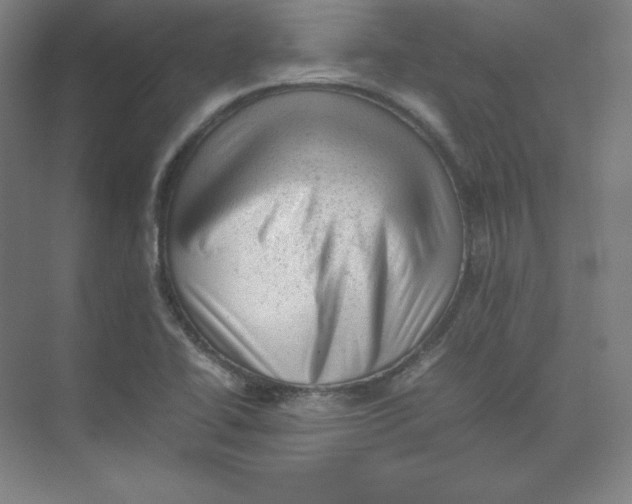 X0000074031414200609181915