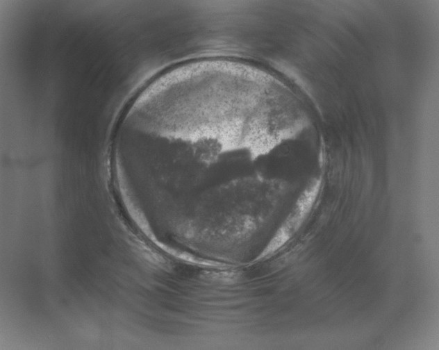 X0000074031415200609181915