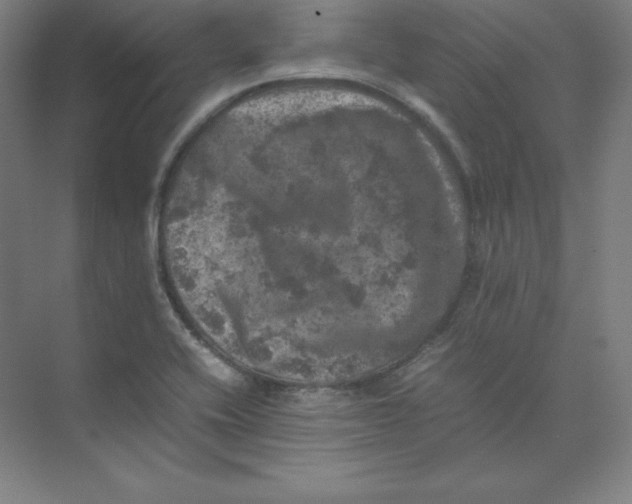 X0000074031416200609181915