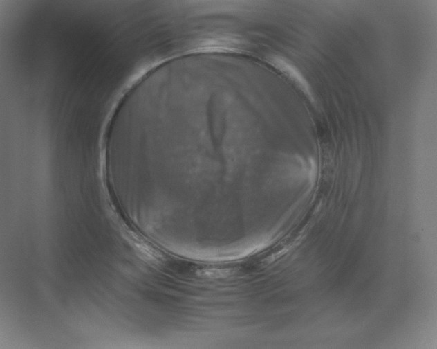 X0000074031419200609181915